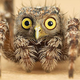 Illustration for article titled Yikes, these animal hybrids are so hilariously terrifying